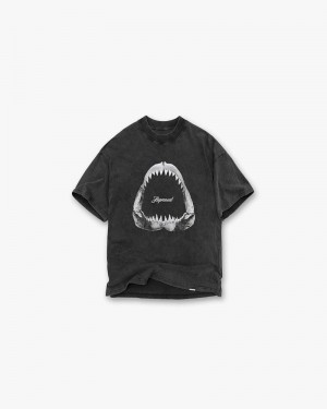 Men's Represent Shark Jaws T-Shirt Dark Grey | UK-TROLU4768