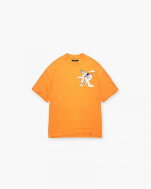 Men's Represent Storms In Heaven T-Shirt Orange | UK-SIWRD3240