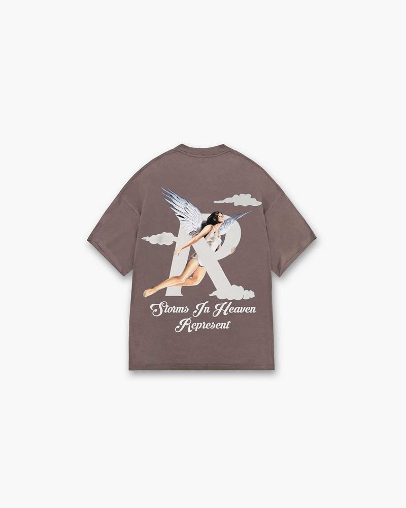 Men's Represent Storms In Heaven T-Shirt Taupe | UK-JQRUW1987